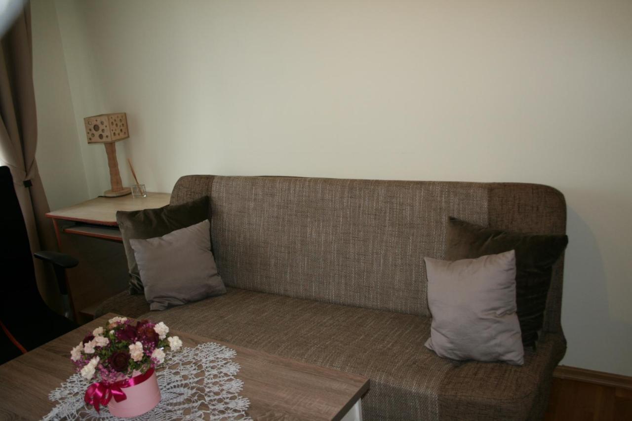 Cosy One Room Apartment Vilnius Exterior photo